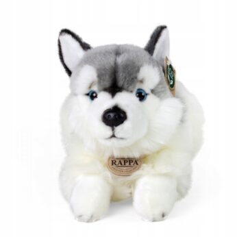 Realistyczny pies HUSKY maskotka pluszak 34 cm