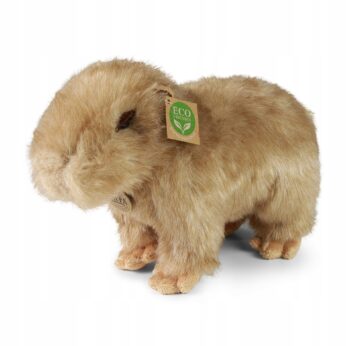 Realistyczna KAPIBARA maskotka CAPYBARA EKO 30 cm