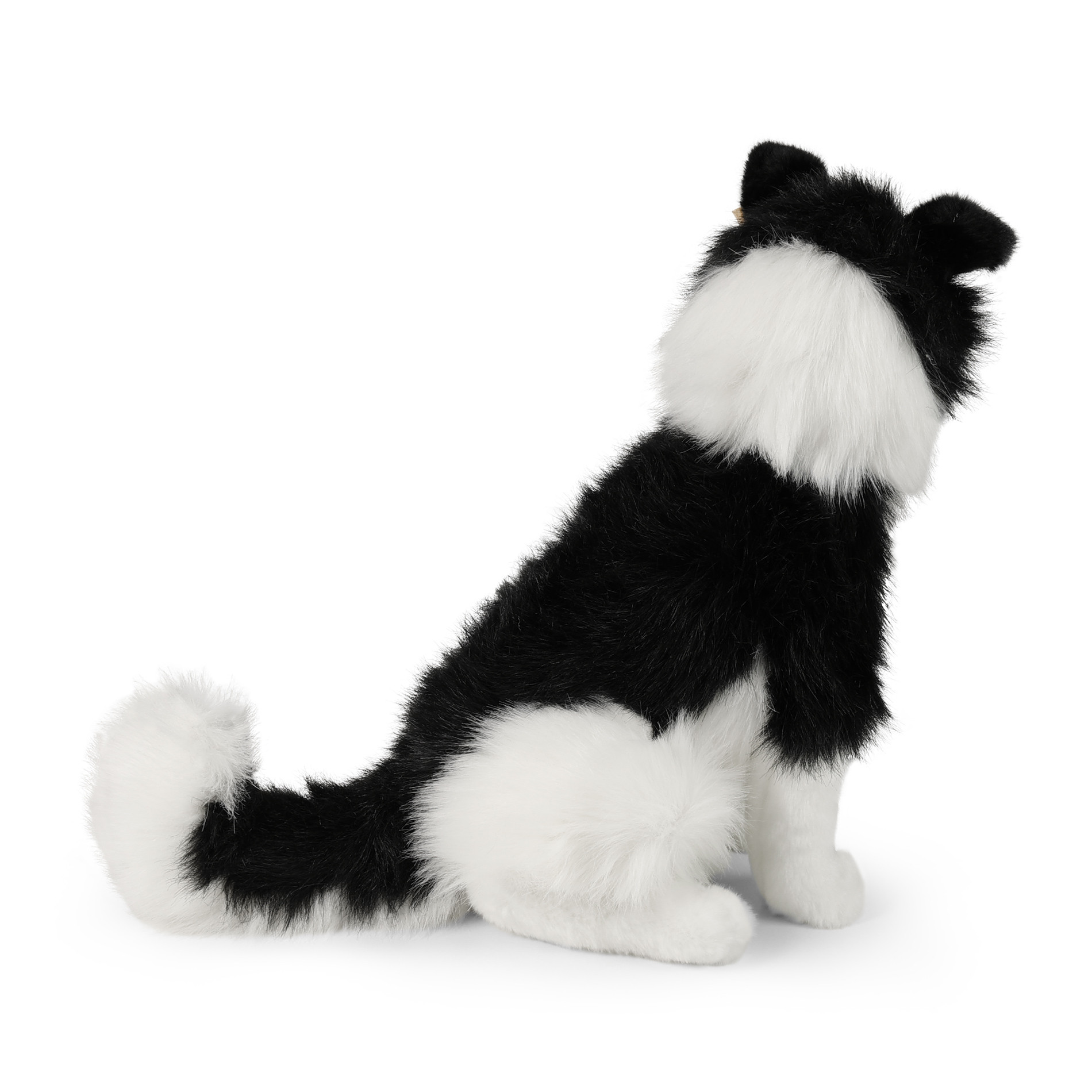 Duża Realistyczna Maskotka Pies Border Collie 40 cm Rappa - Image 4