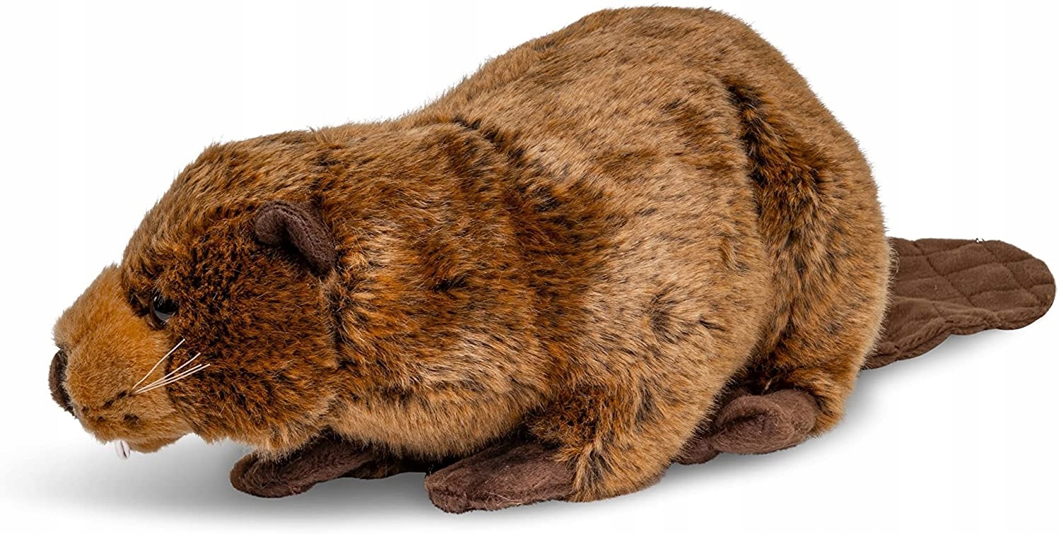 MASKOTKA PLUSZAK BÓBR REALISTYCZNY ECO FRIENDLY NA PREZENT - Image 3