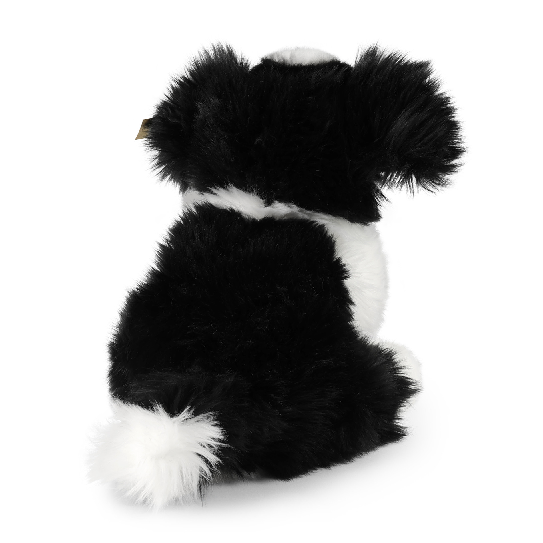 maskotka pies border collie