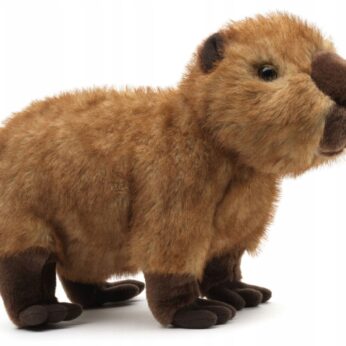 Maskotka Kapibara Realistyczny Pluszak 27 cm Uni Toys